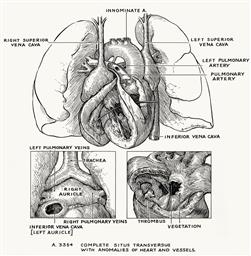 256.jpg?authroot=findit-uat.library.yale.edu&parentfolder=digcoll:2793067&ip=3.129.23